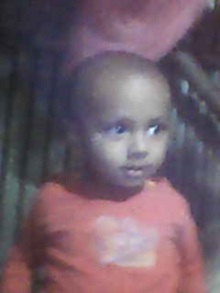 image-here